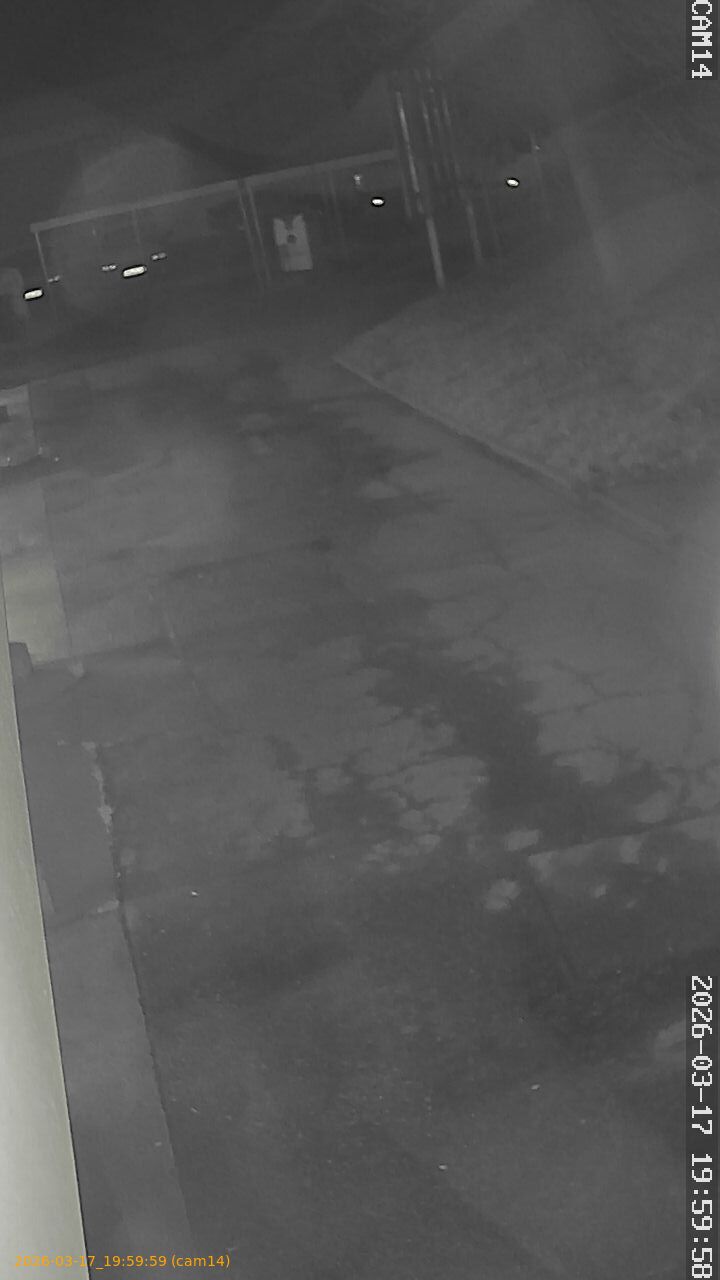 thumbnail_2026031719