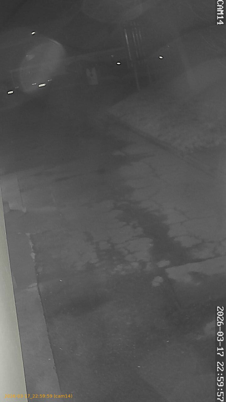 thumbnail_2026031722