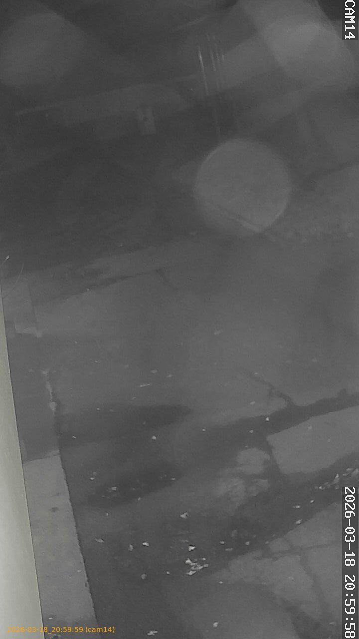 thumbnail_2026031820