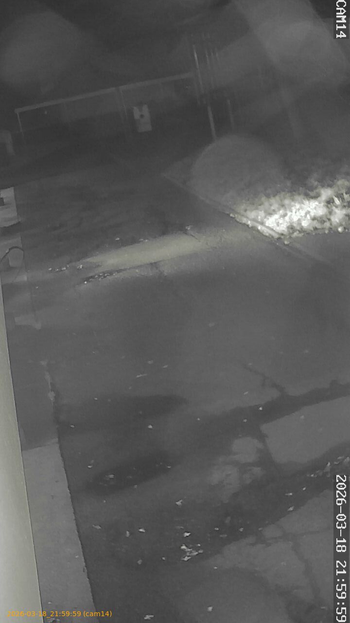 thumbnail_2026031821