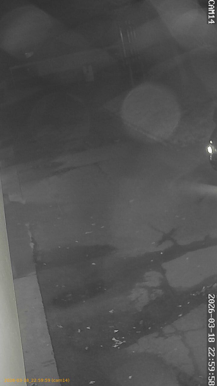 thumbnail_2026031822