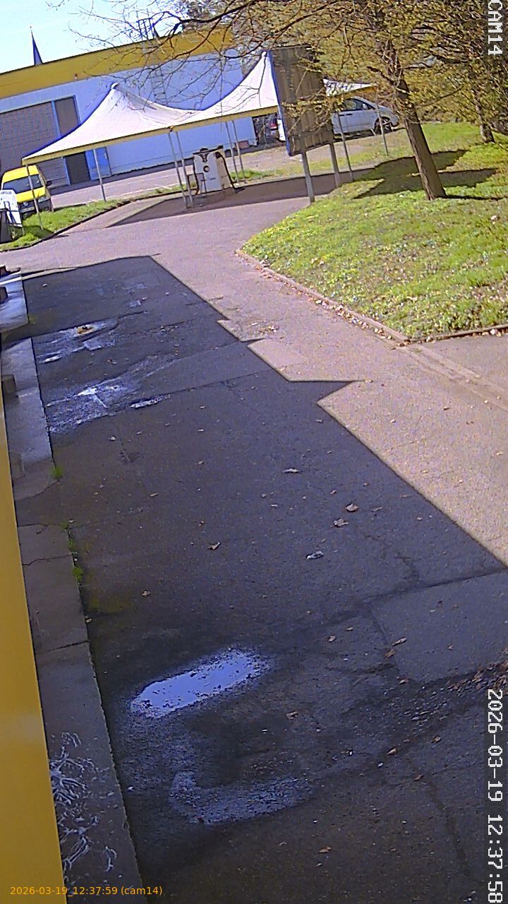 thumbnail_202603191237