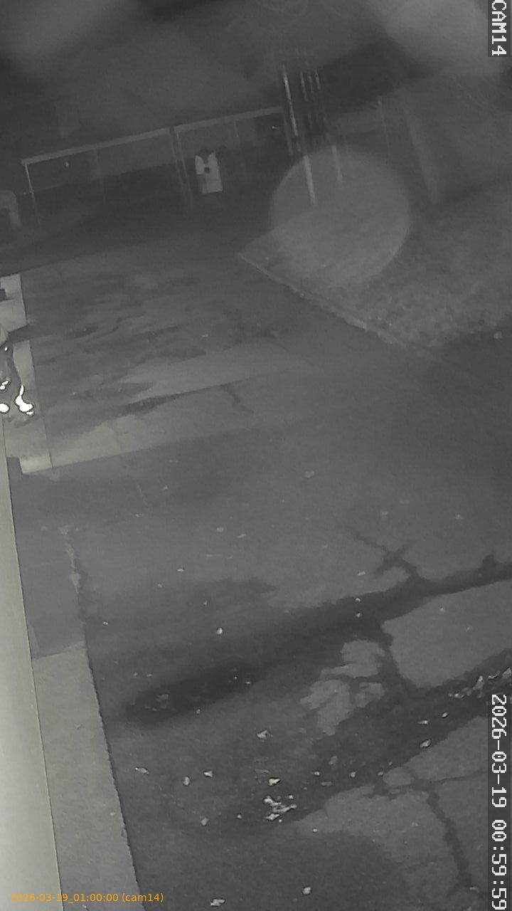 thumbnail_2026031900