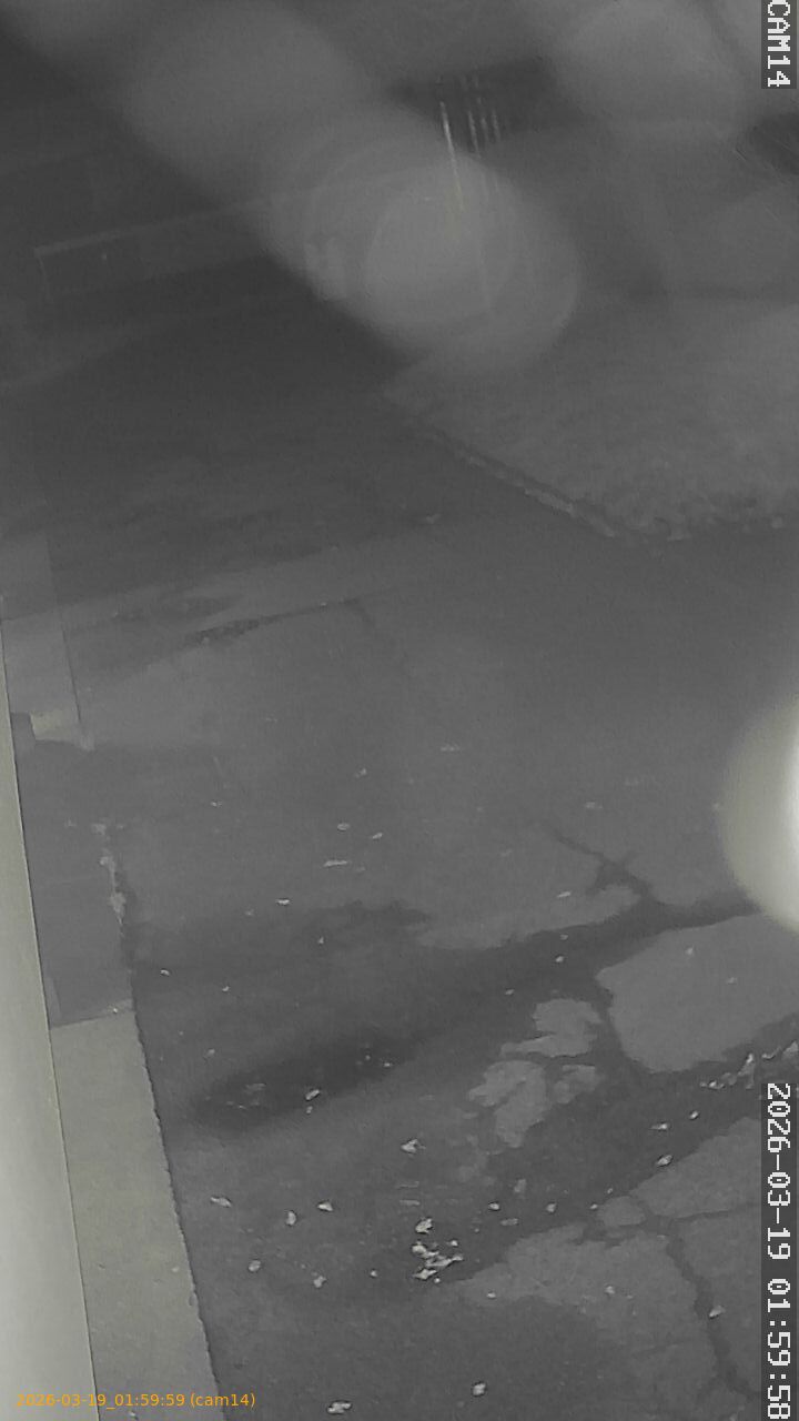 thumbnail_2026031901