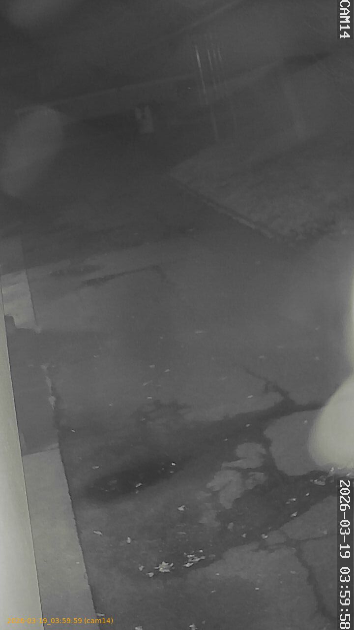 thumbnail_2026031903