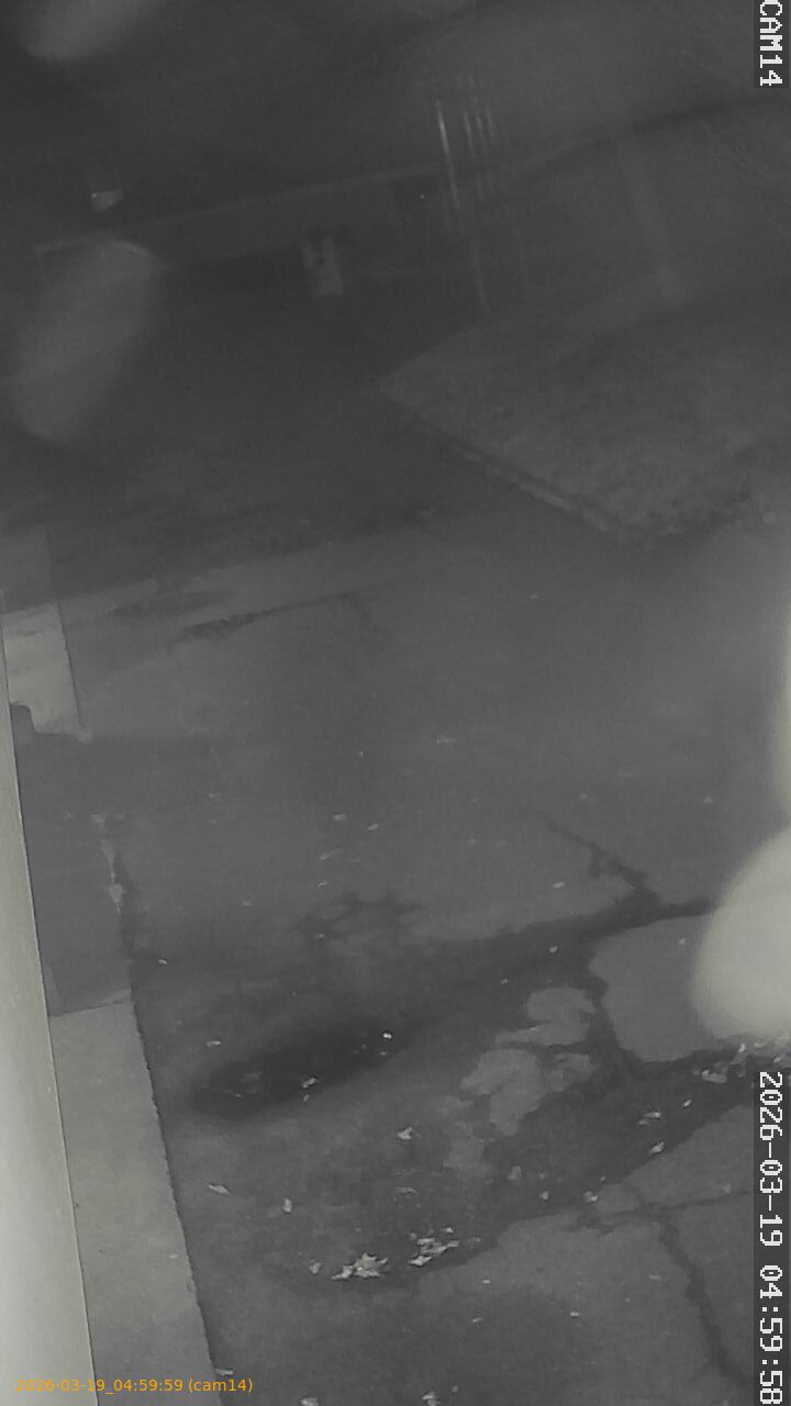 thumbnail_2026031904