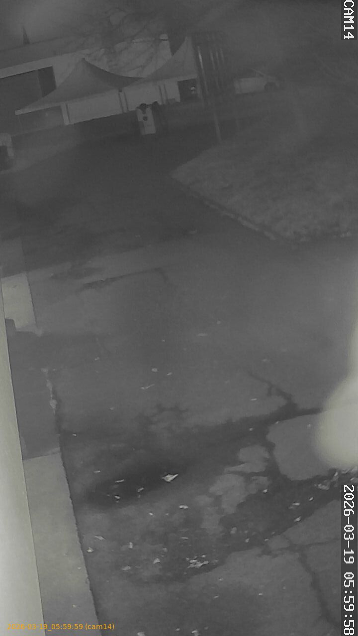 thumbnail_2026031905