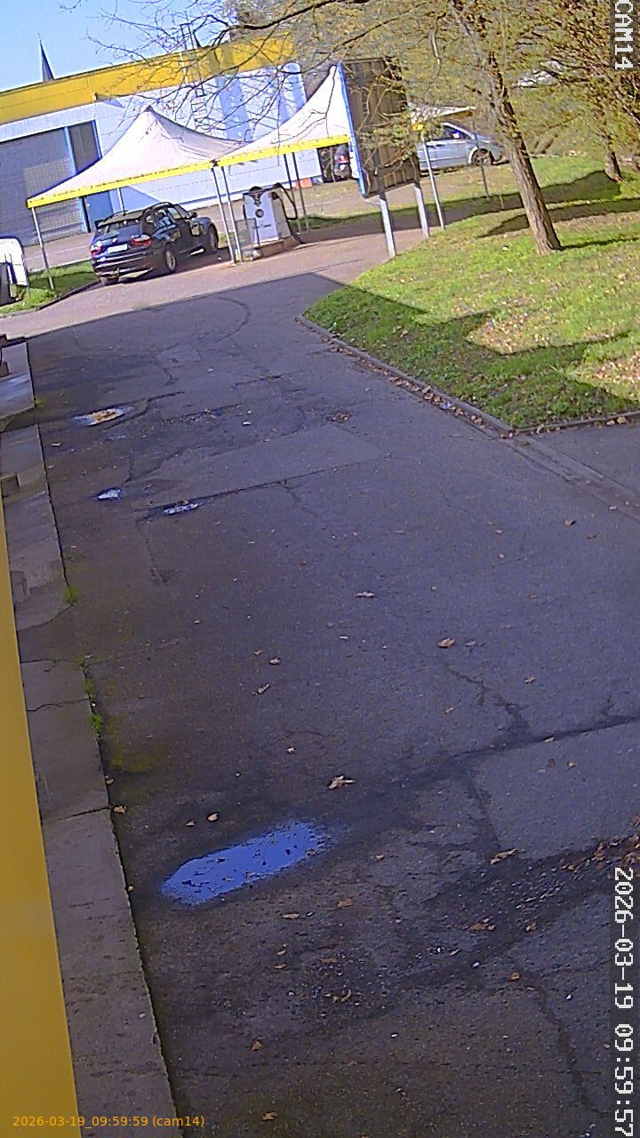 thumbnail_2026031909