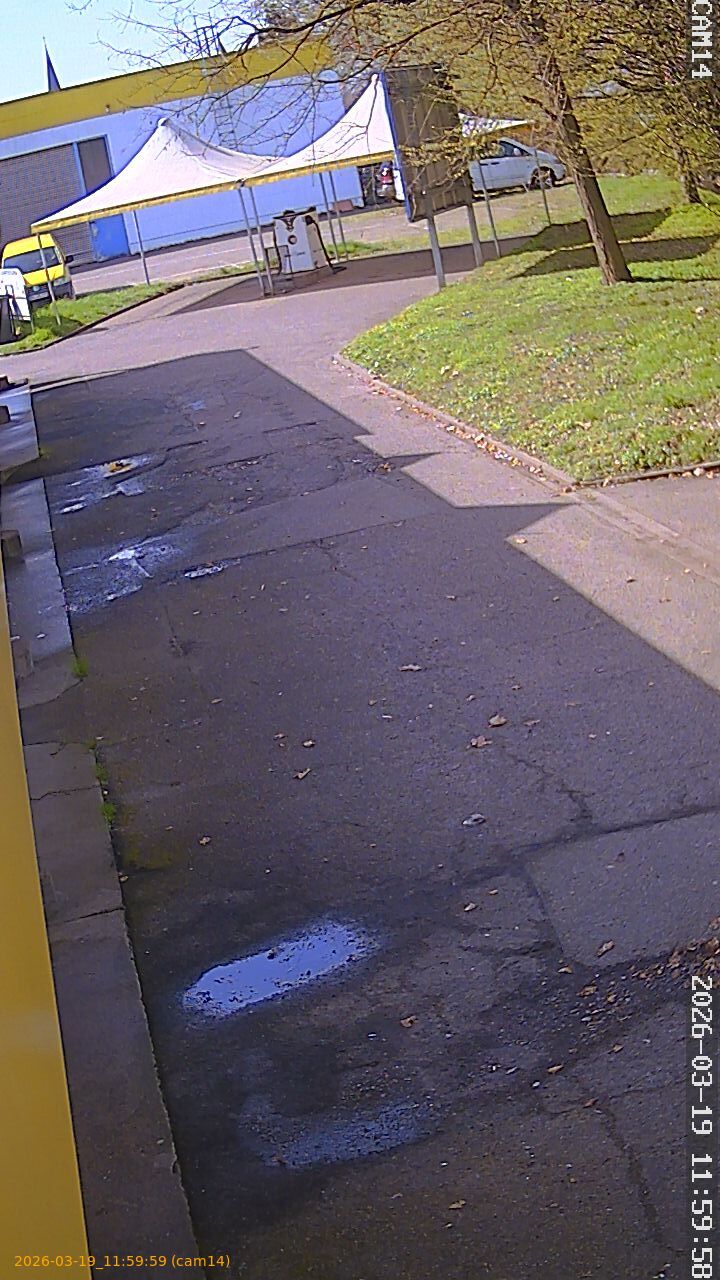 thumbnail_2026031911