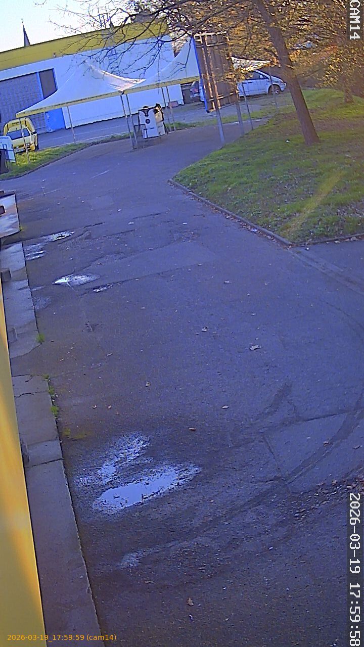 thumbnail_2026031917