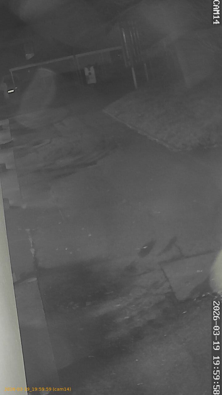 thumbnail_2026031919