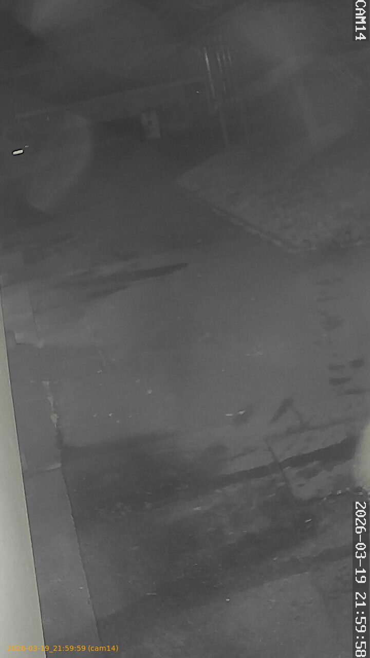 thumbnail_2026031921