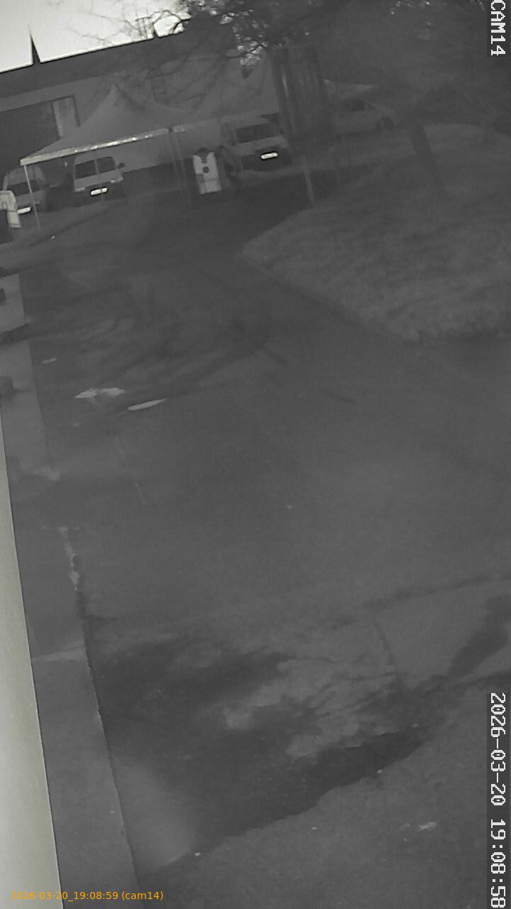 thumbnail_202603201908