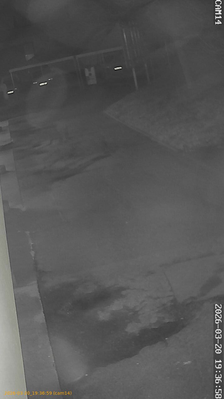 thumbnail_202603201936