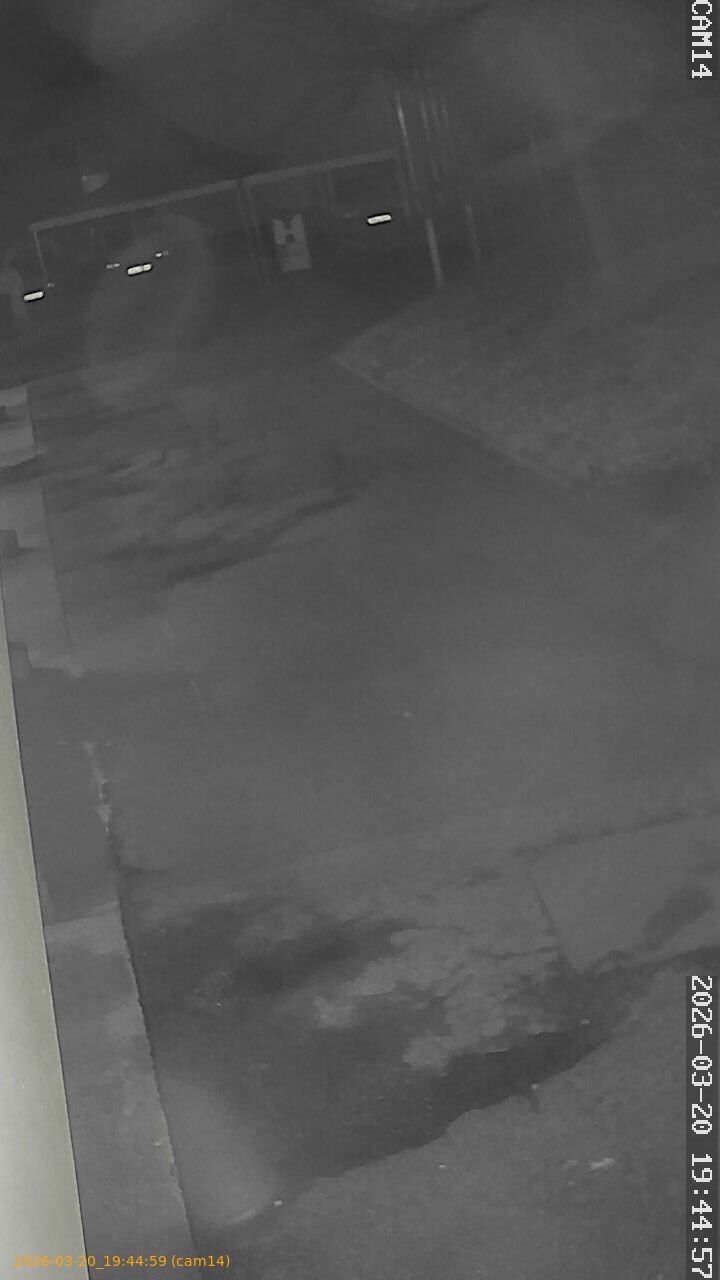 thumbnail_202603201944