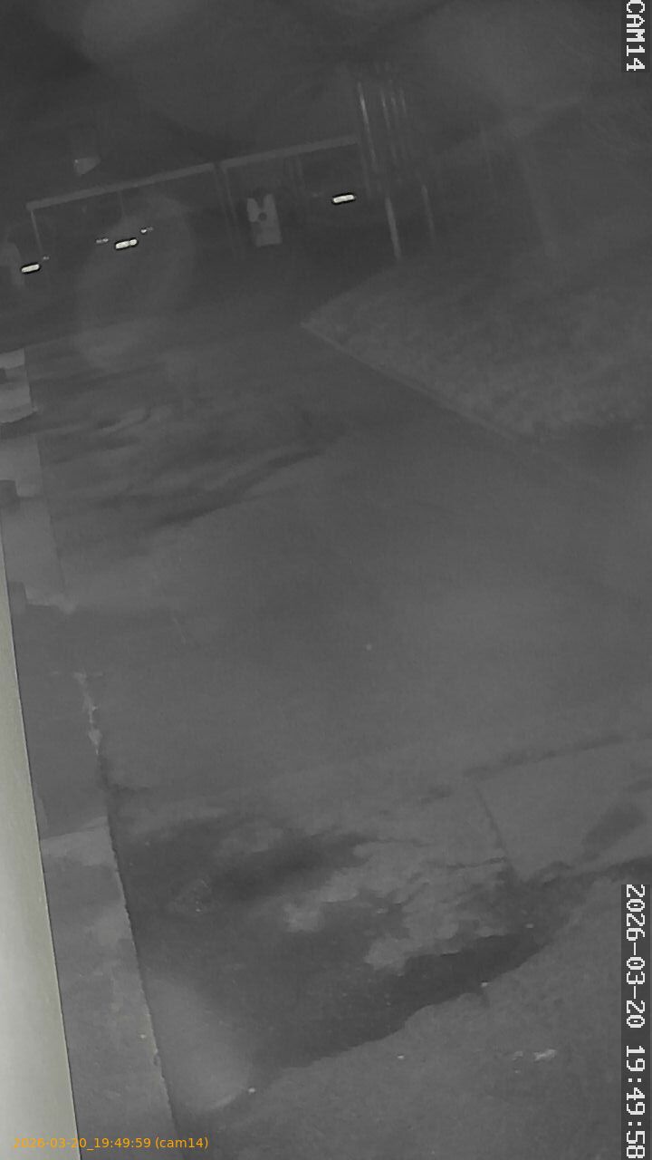 thumbnail_202603201949