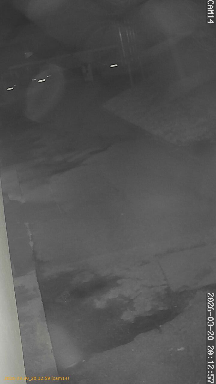 thumbnail_202603202012