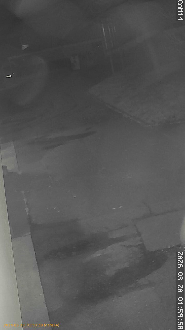 thumbnail_2026032001