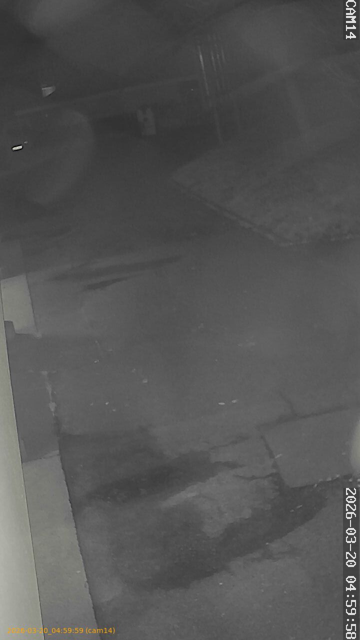 thumbnail_2026032004