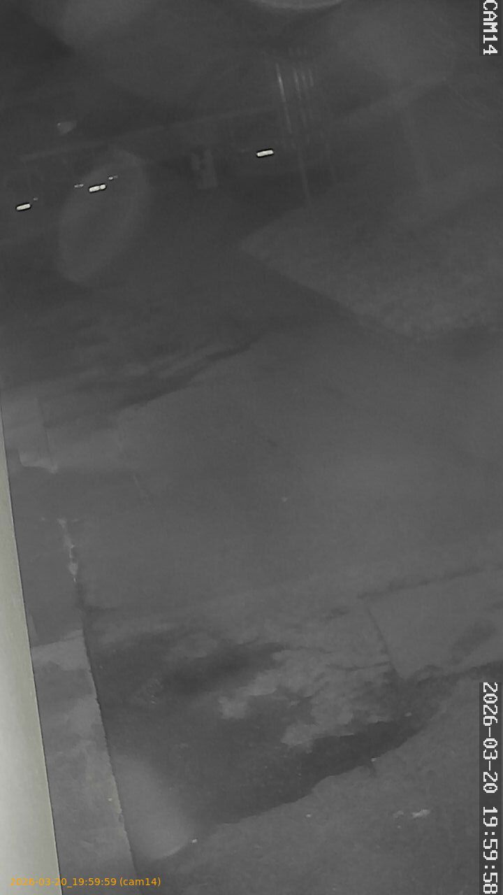 thumbnail_2026032019