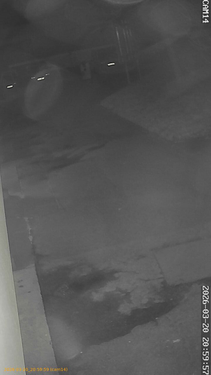 thumbnail_2026032020