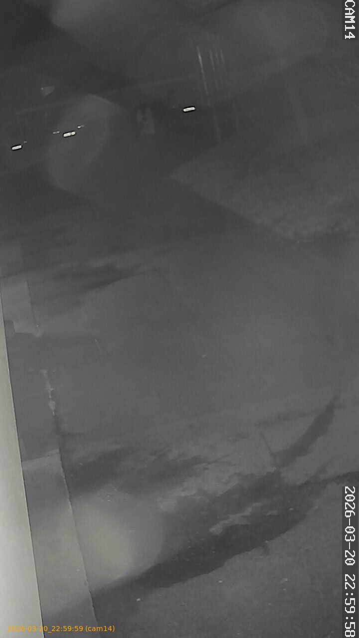 thumbnail_2026032022