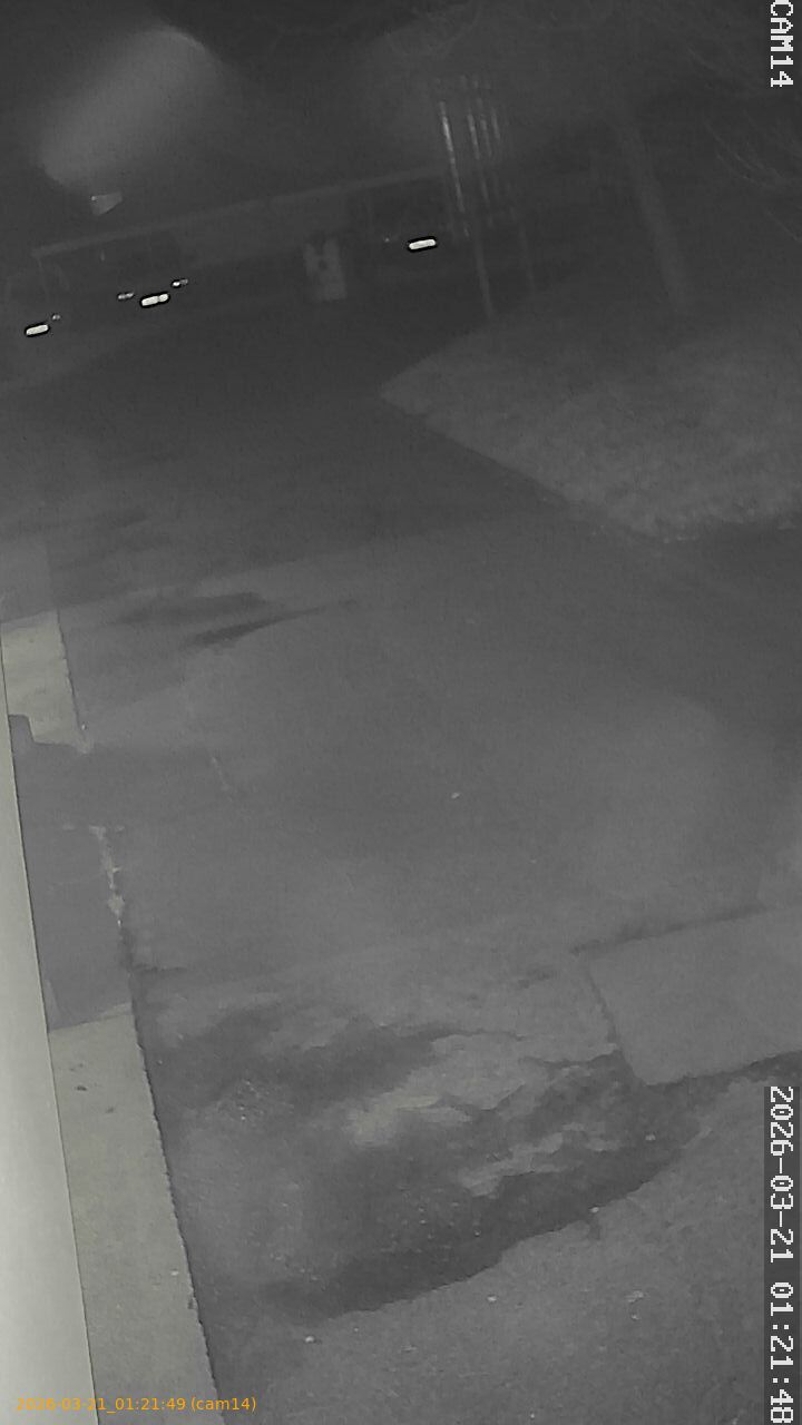 thumbnail_20260321012149