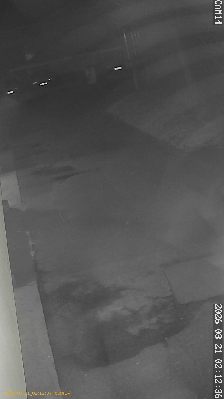 thumbnail_20260321021237