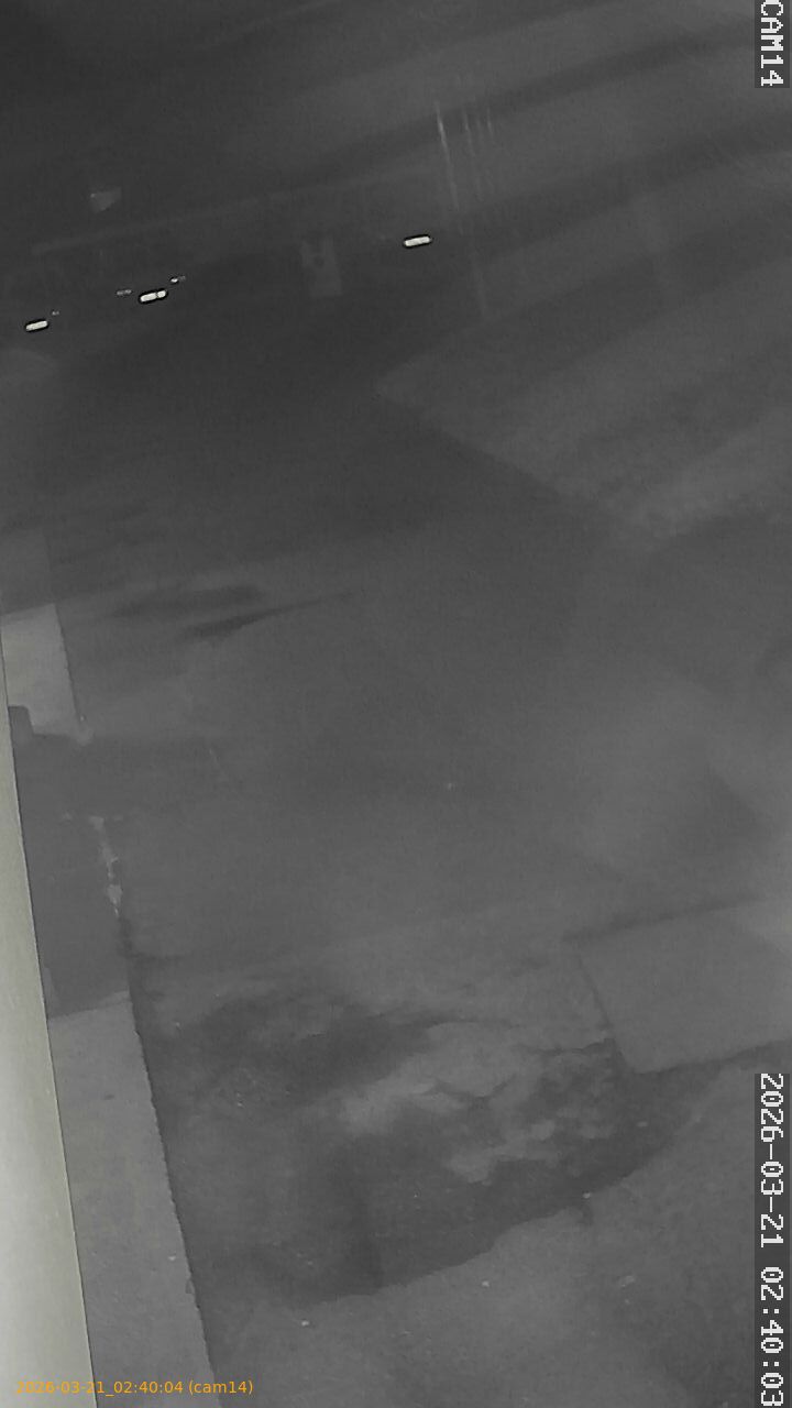 thumbnail_20260321024004