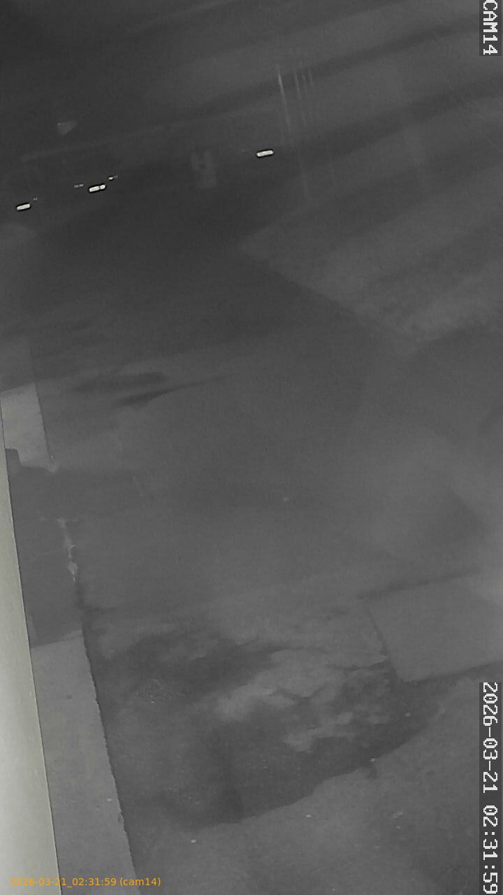 thumbnail_202603210231