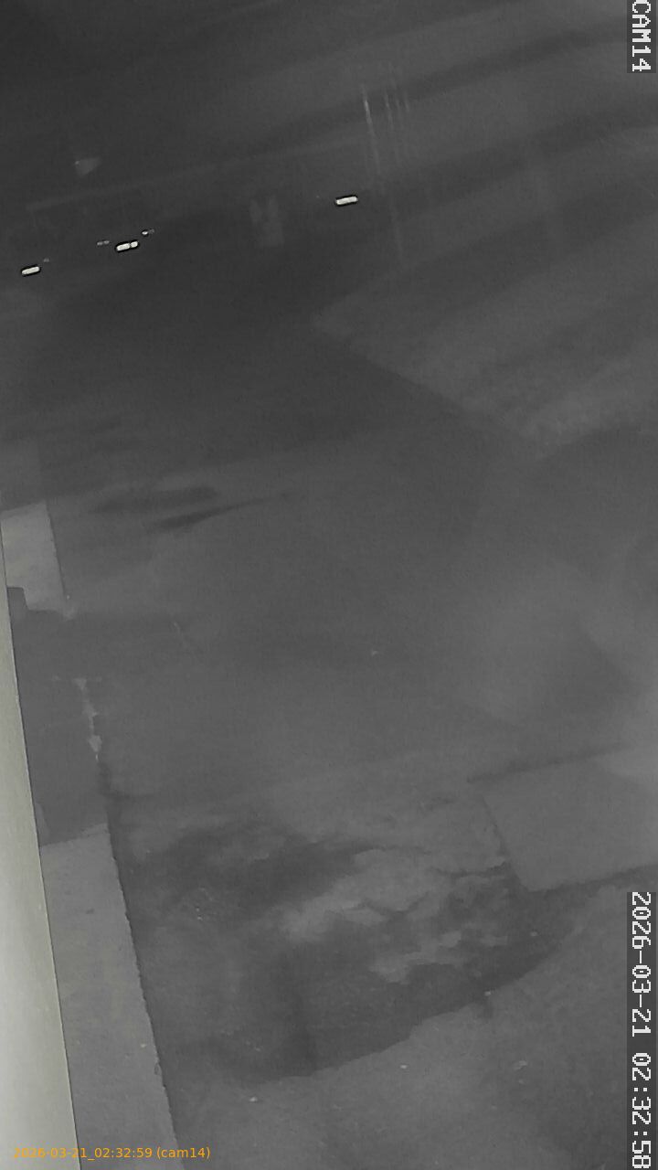 thumbnail_202603210232