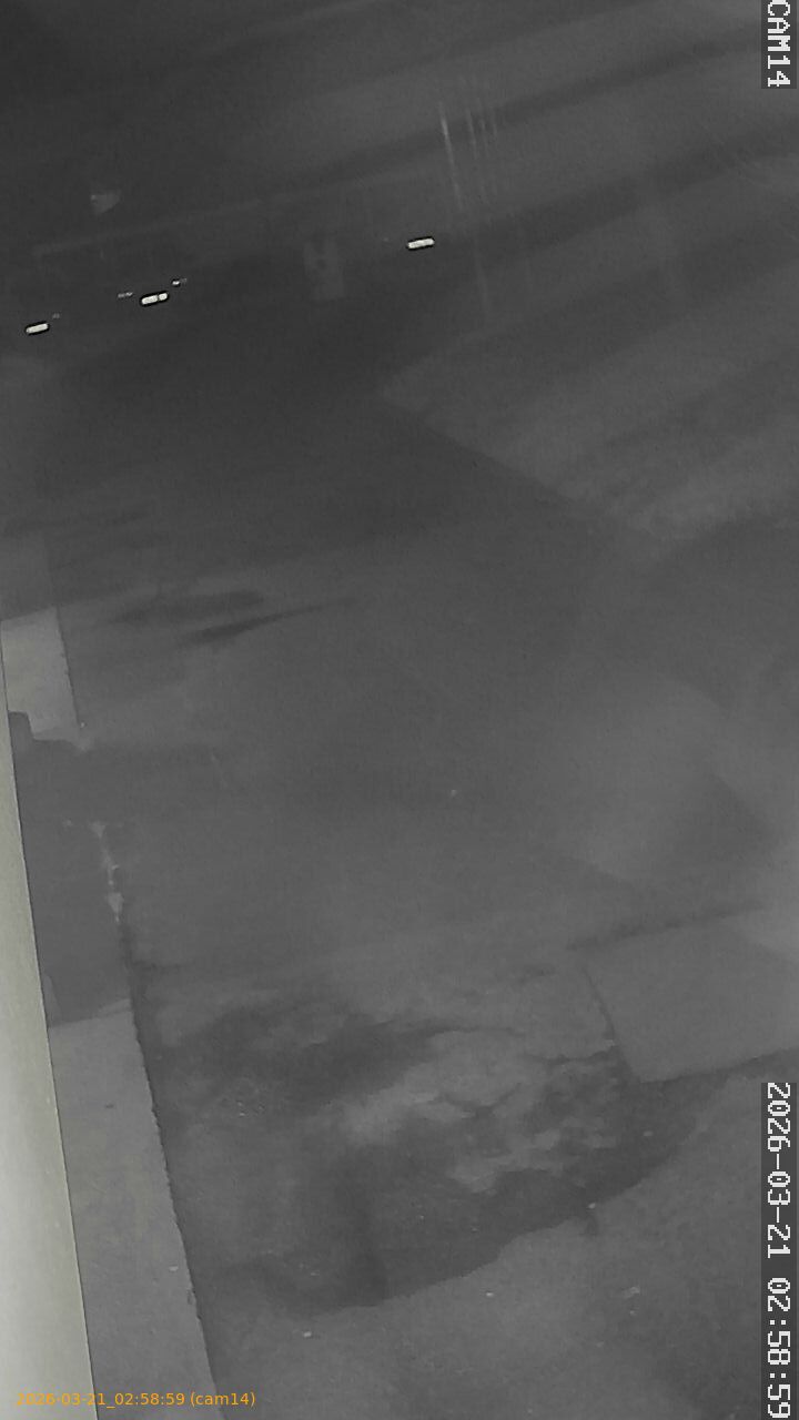 thumbnail_202603210258