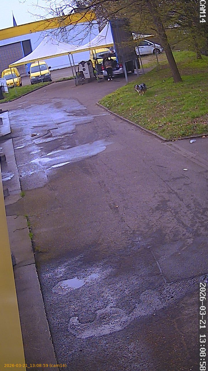 thumbnail_202603211308