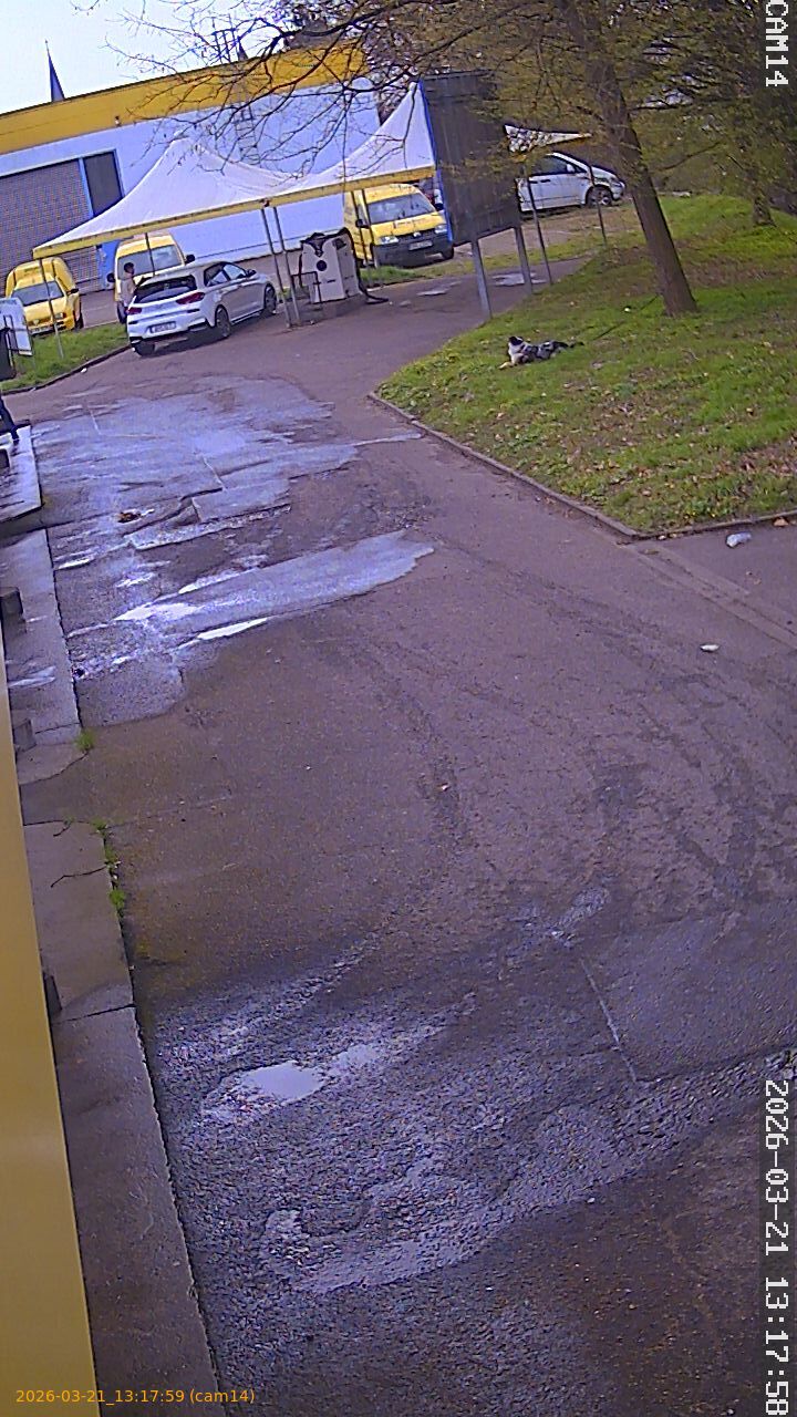 thumbnail_202603211317