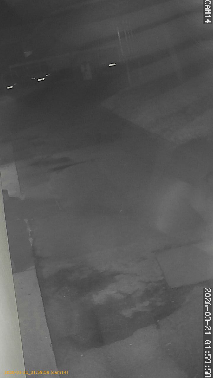 thumbnail_2026032101