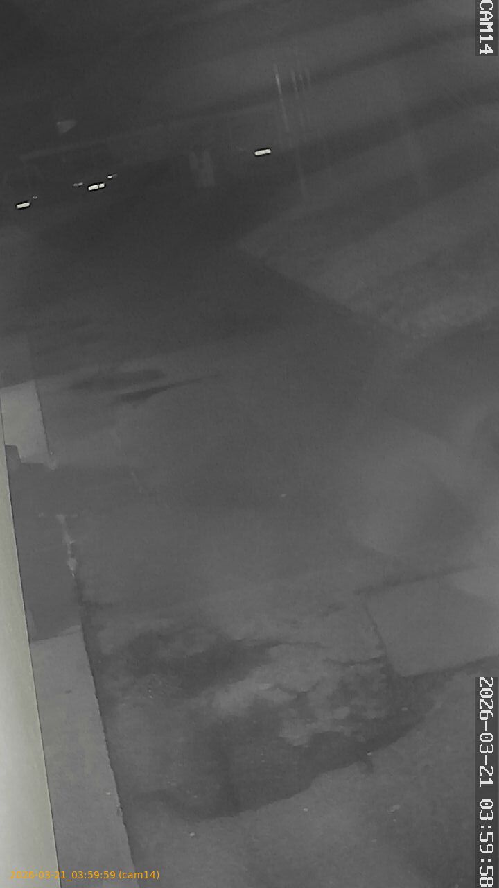 thumbnail_2026032103