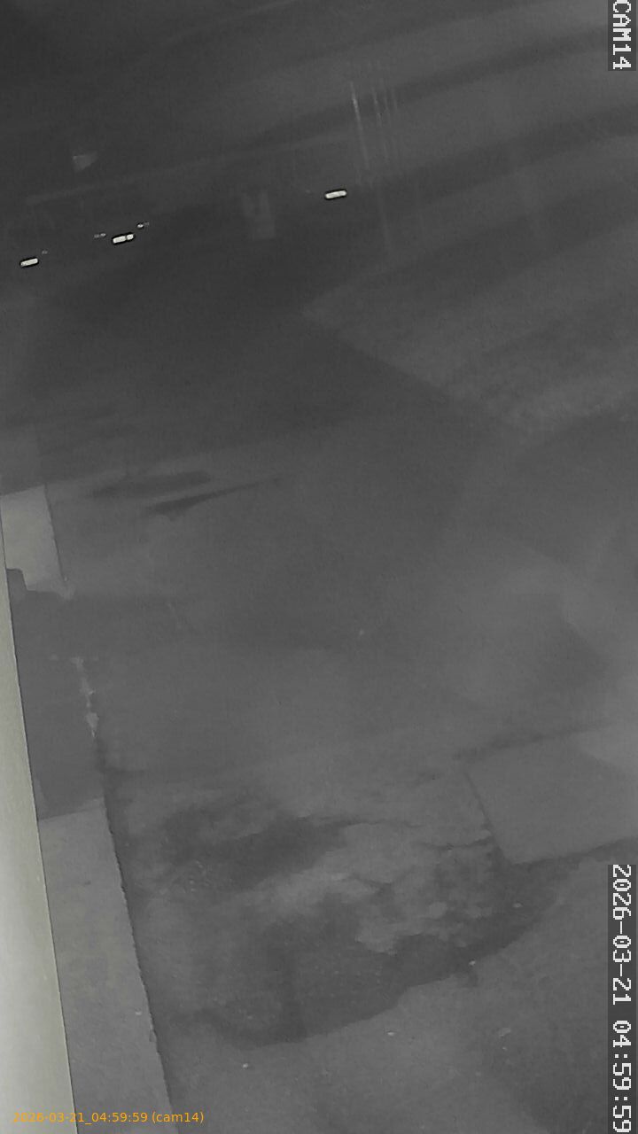 thumbnail_2026032104