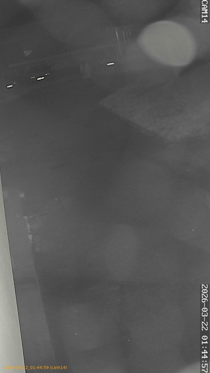 thumbnail_202603220144