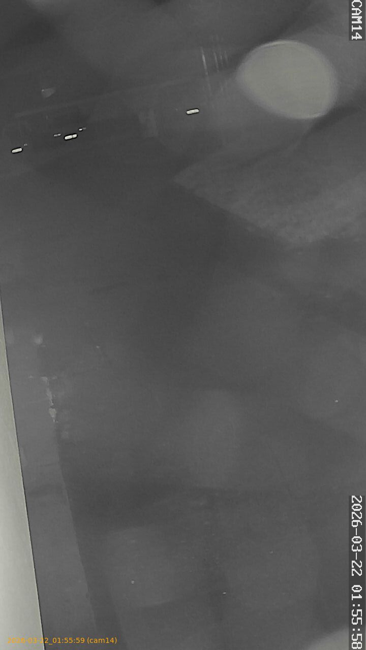 thumbnail_202603220155