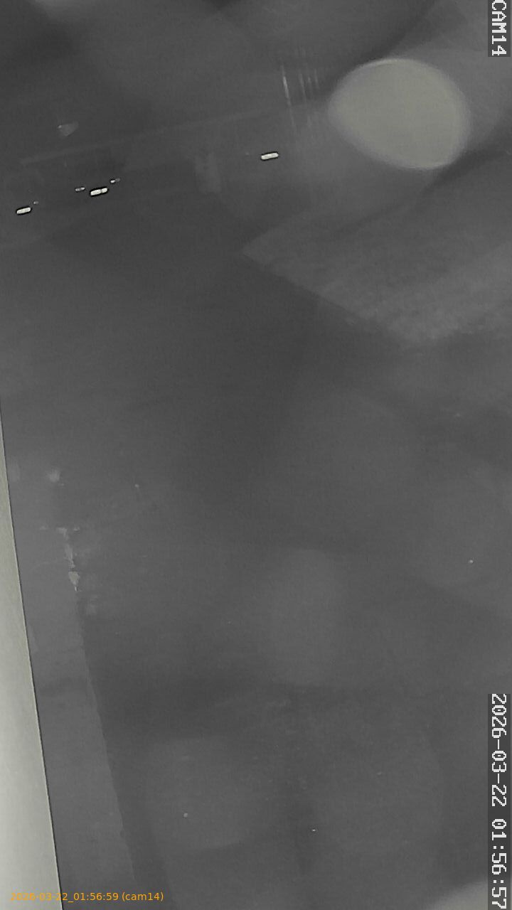 thumbnail_202603220156