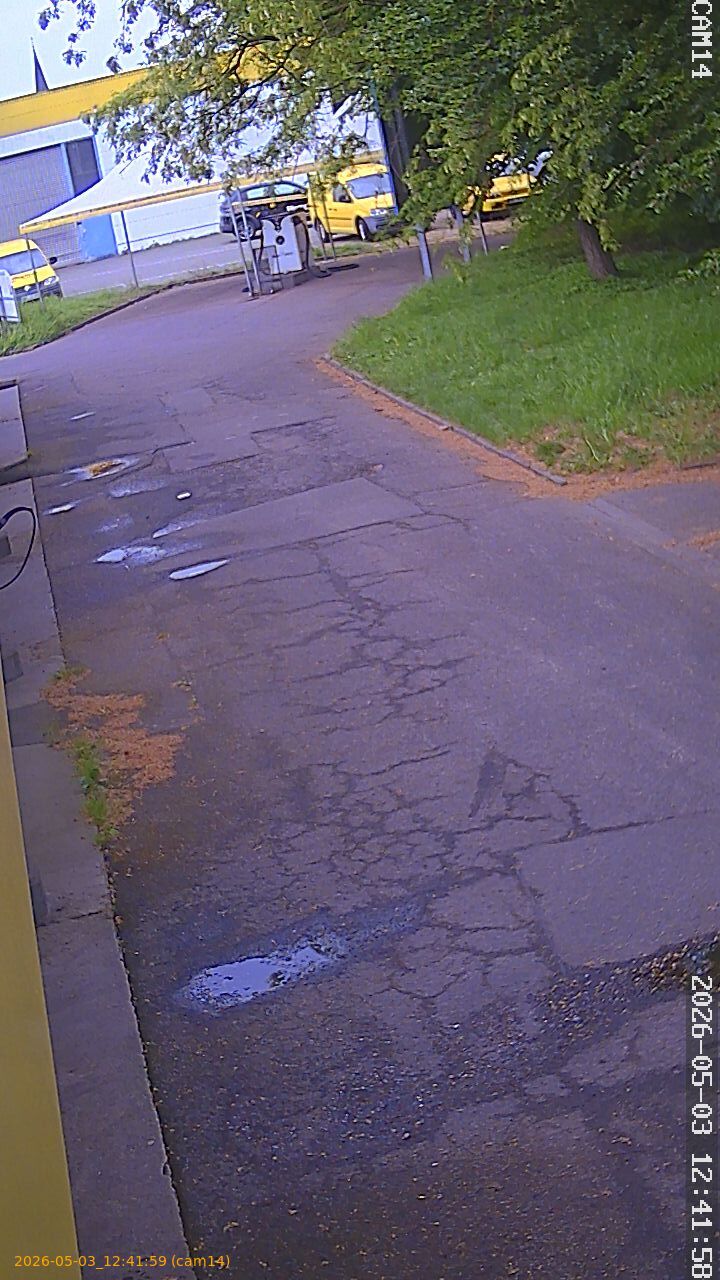 202605031241