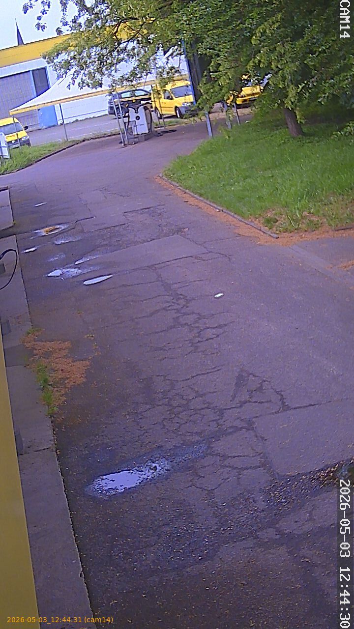 20260503124431
