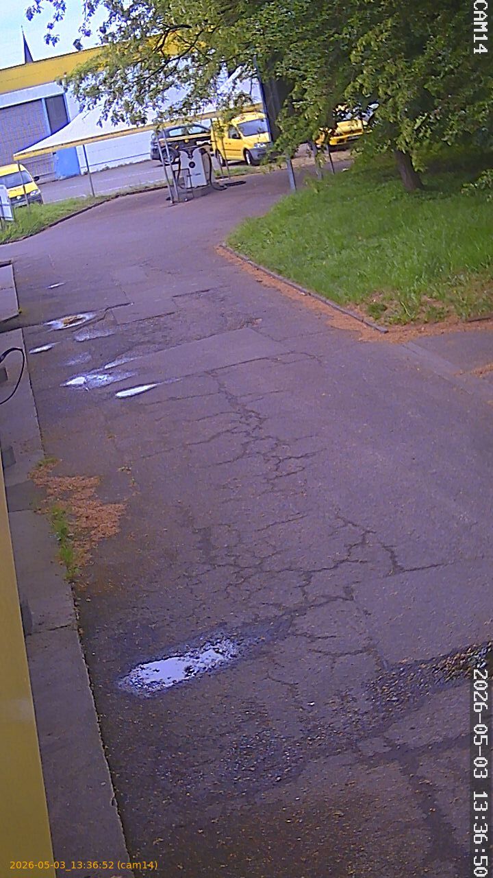 202605031336
