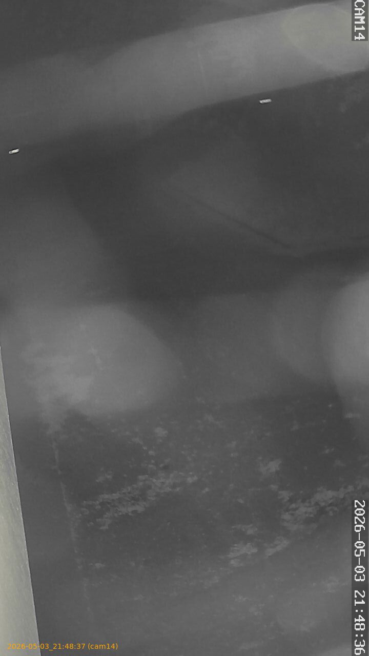 thumbnail_20260503214837