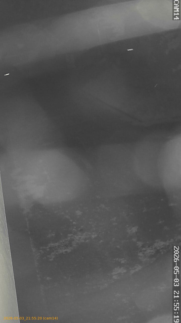 20260503215520