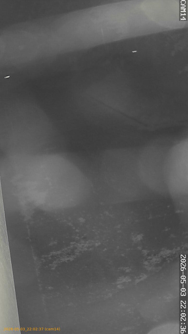 20260503220237