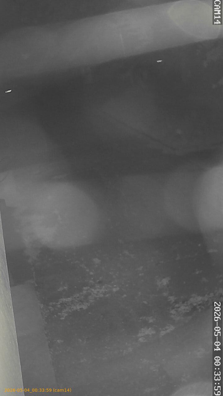 thumbnail_20260504003359