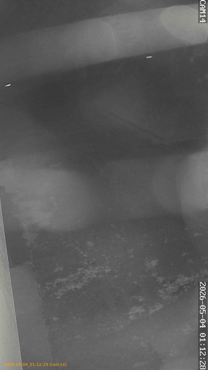 thumbnail_20260504011229