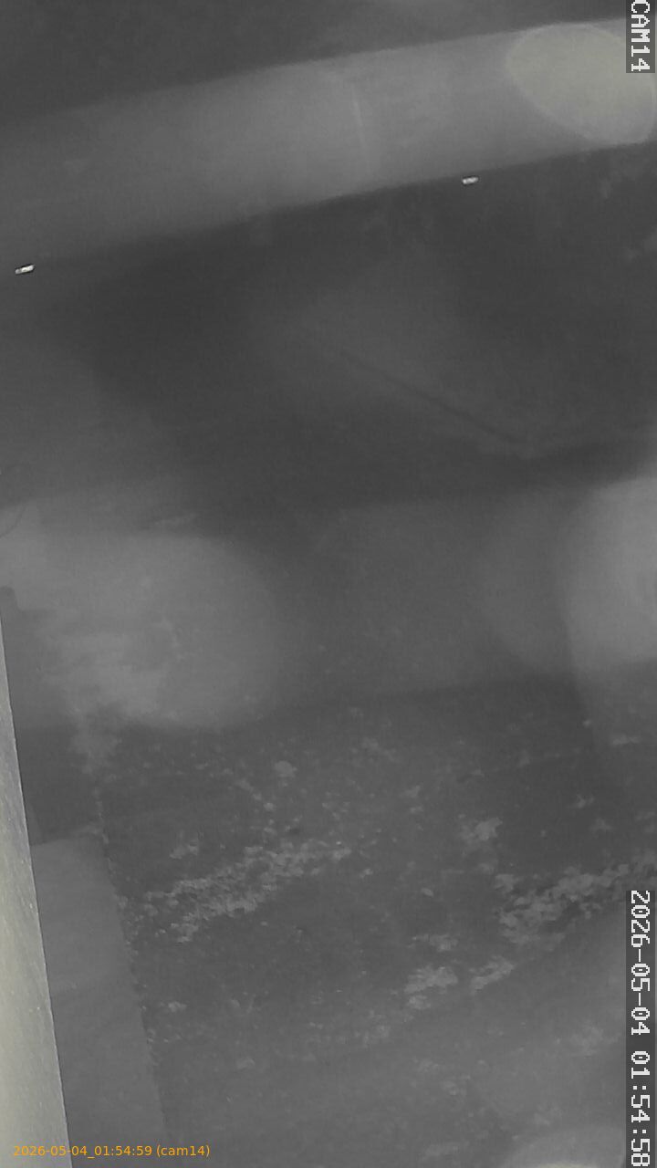 202605040154