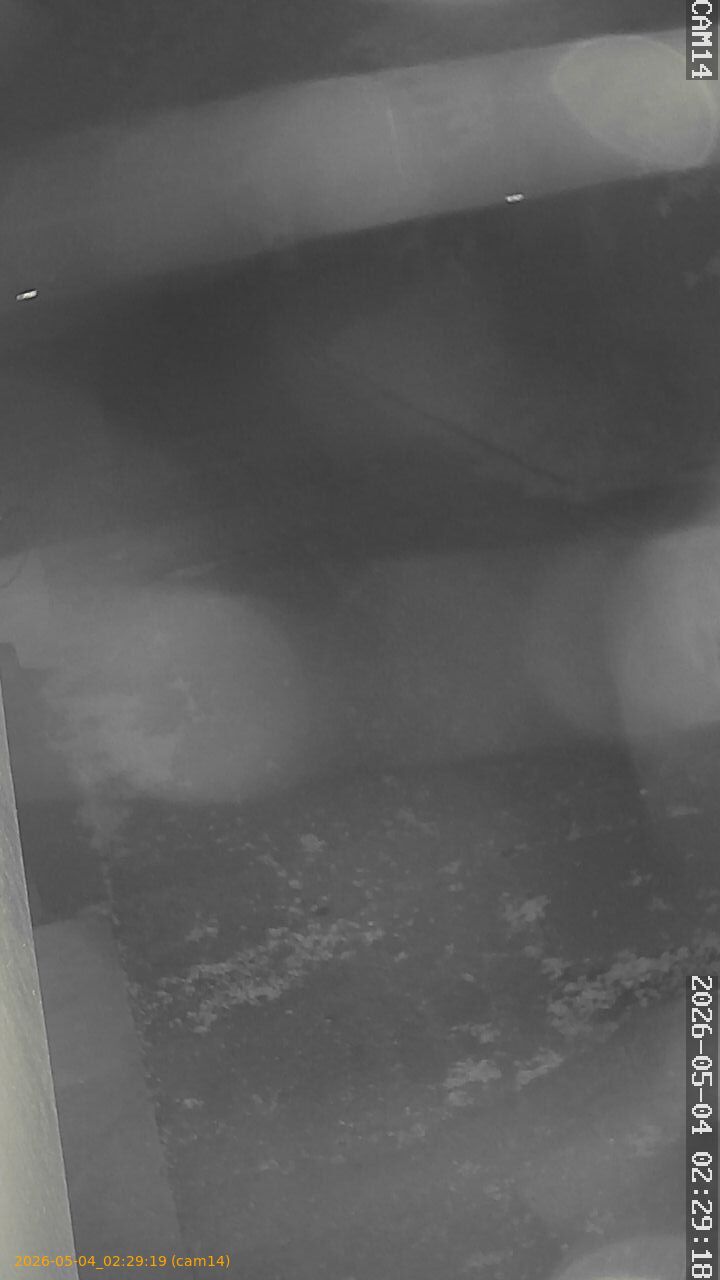 20260504022919